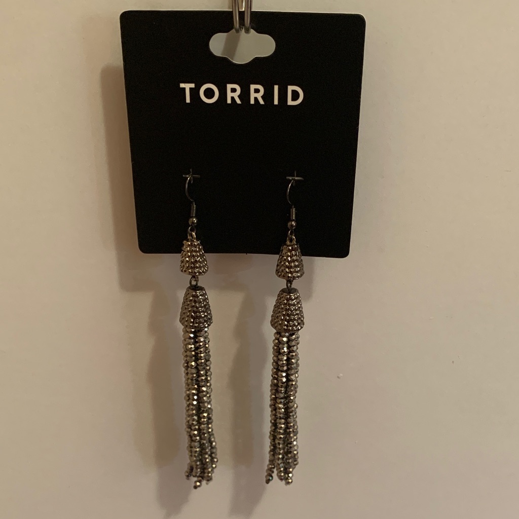 Torrid Silver Tassel Earrings